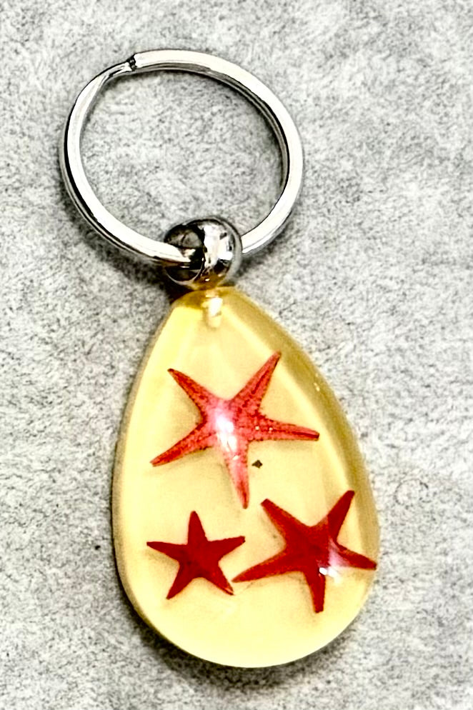Starfish keychain/海星匙扣