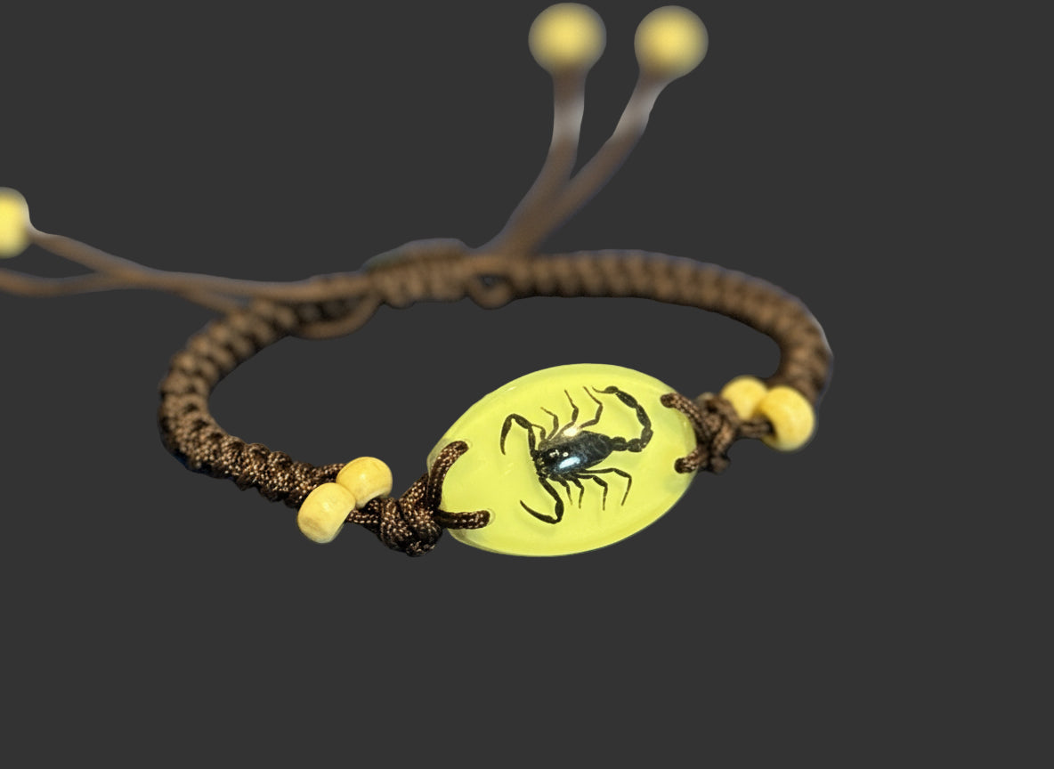 Scorpion/Handwoven Bracelet /real bug/glow in dark 蝎子/手链