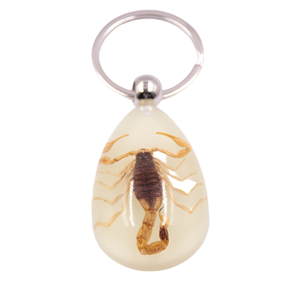 In Feng Shui, scorpions mainly symbolize wealth accumulation, career success, warding off evil and bringing good luck, and the prosperity of descendants. Their toxicity and vitality have been given multiple cultural interpretations.