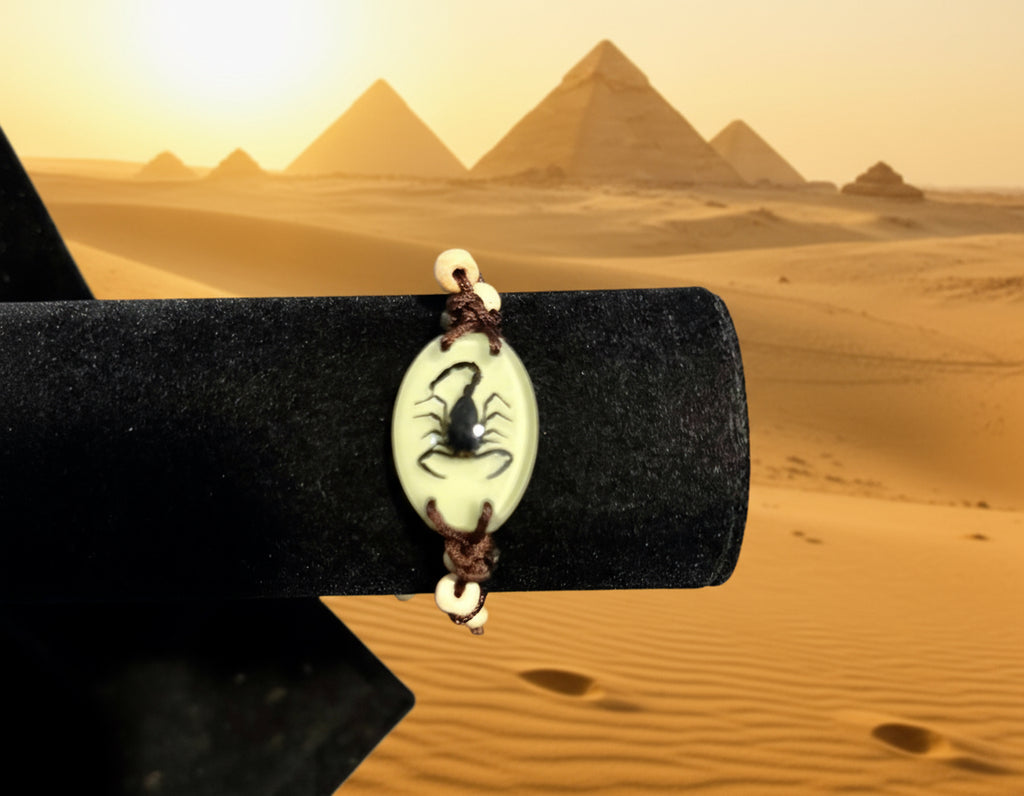 Scorpion/Handwoven Bracelet /real bug/glow in dark 蝎子/手链