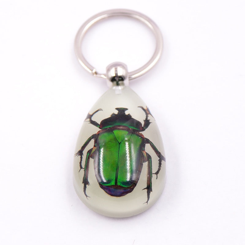Beetles were often given a revered status in early human civilizations:

Ancient Egyptian scarabs: Because the path of their dung balls aligns with the sun's orbit, dung beetles were considered incarnations of the sun god Ra, symbolizing rebirth and eternal reincarnation. Scarab amulets were used in mummification, signifying the immortality of the soul. ‌‌5
‌Imagery in Chinese Tang Dynasty poetry: In poetry, coleoptera insects symbolize vitality and hope, as well as satires of bureaucratic corruption.