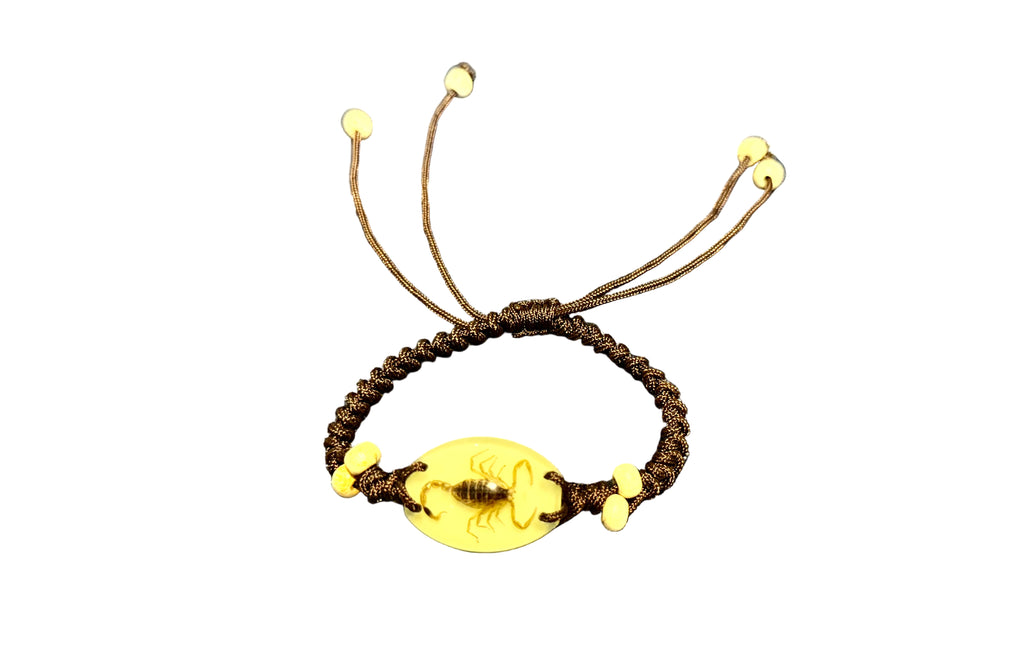 Scorpion/Handwoven Bracelet /real bug/glow in dark 蝎子/手链