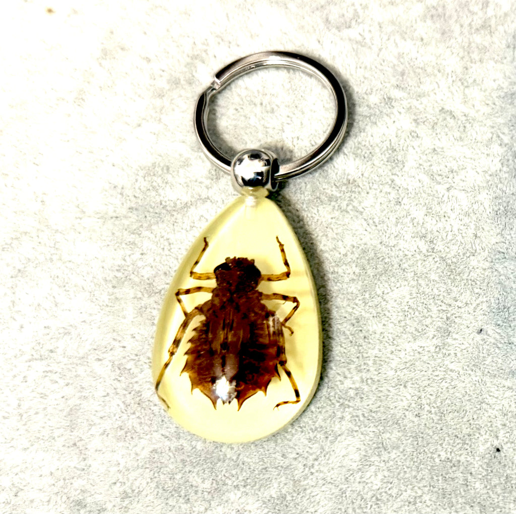 Dragonhunter/insect keychain/glow in dark /捕龙者蜻蜓/匙扣