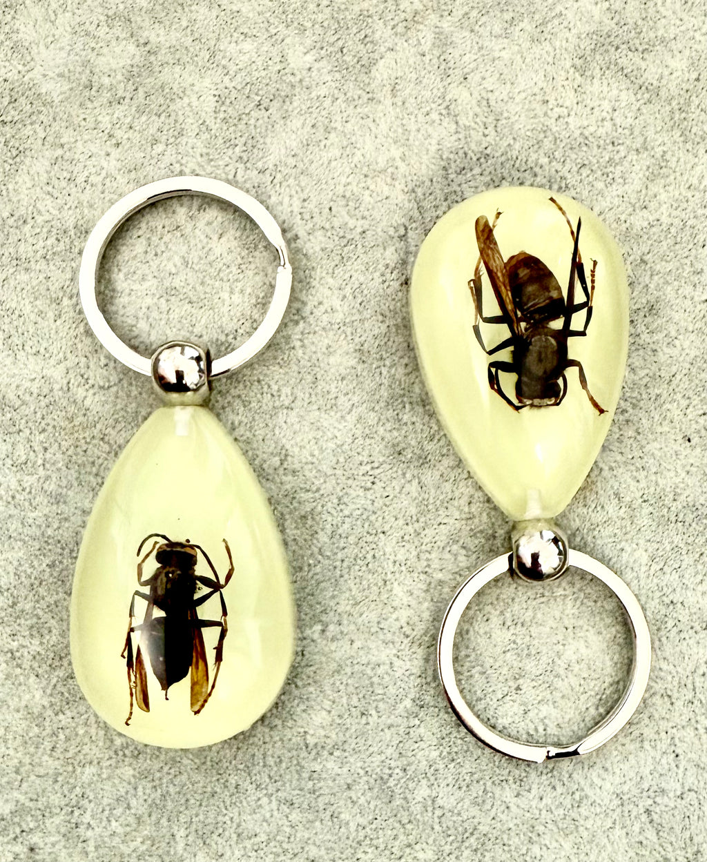 glow in dark Keychain /Real bug keychain/Wasp大黃蜂/匙扣