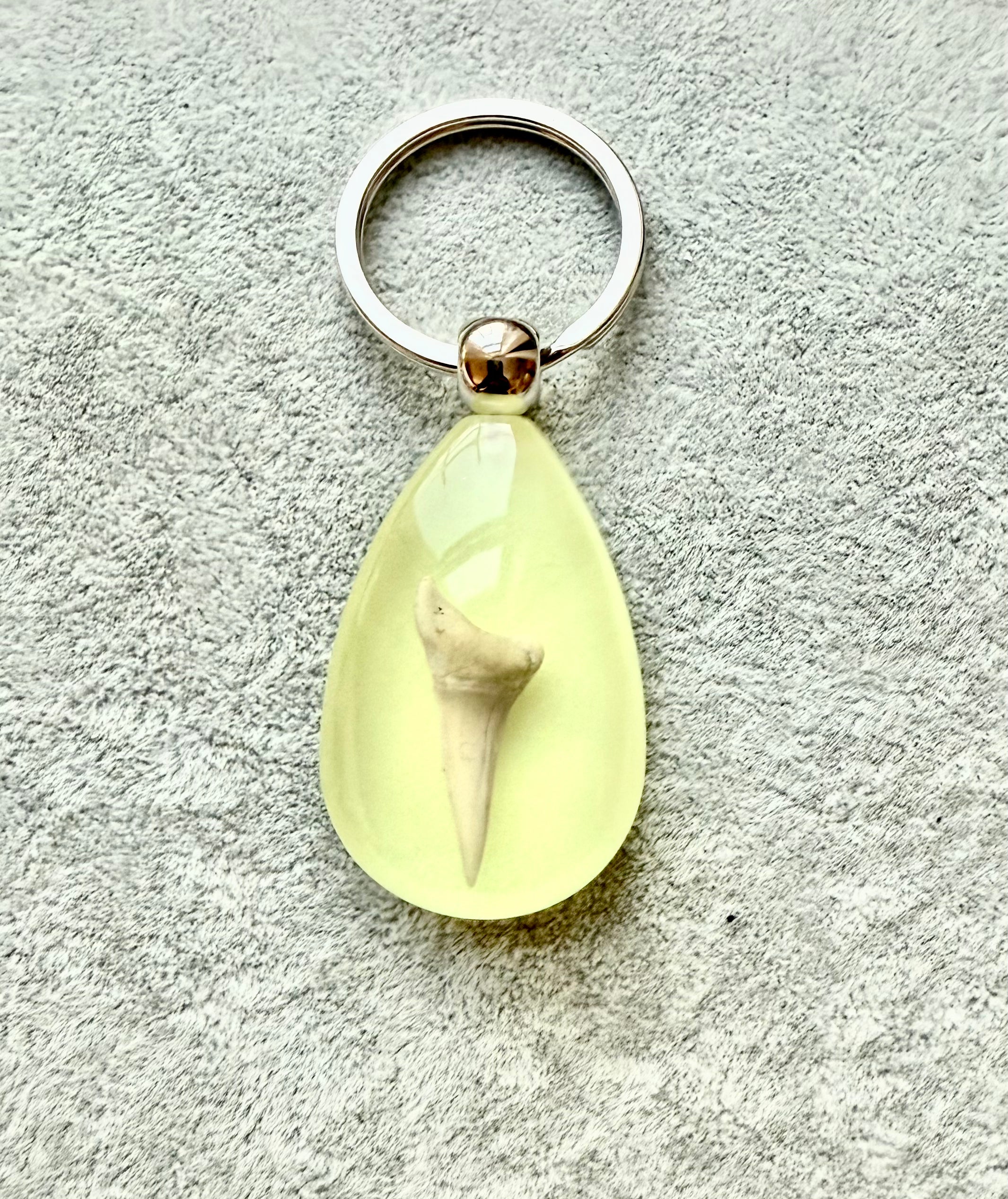 Shark teeth/insect keychain/Glow in dark /鲨魚齿/匙扣