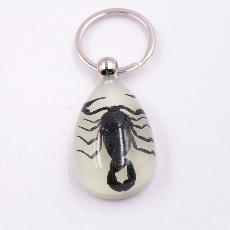 Scorpion/insect keychain/real bug/glow in dark/蝎子/匙扣